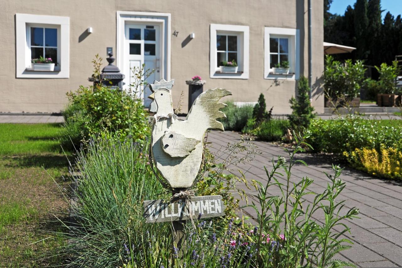 Ferienhaus Eifel 1851 Gipperath 外观 照片